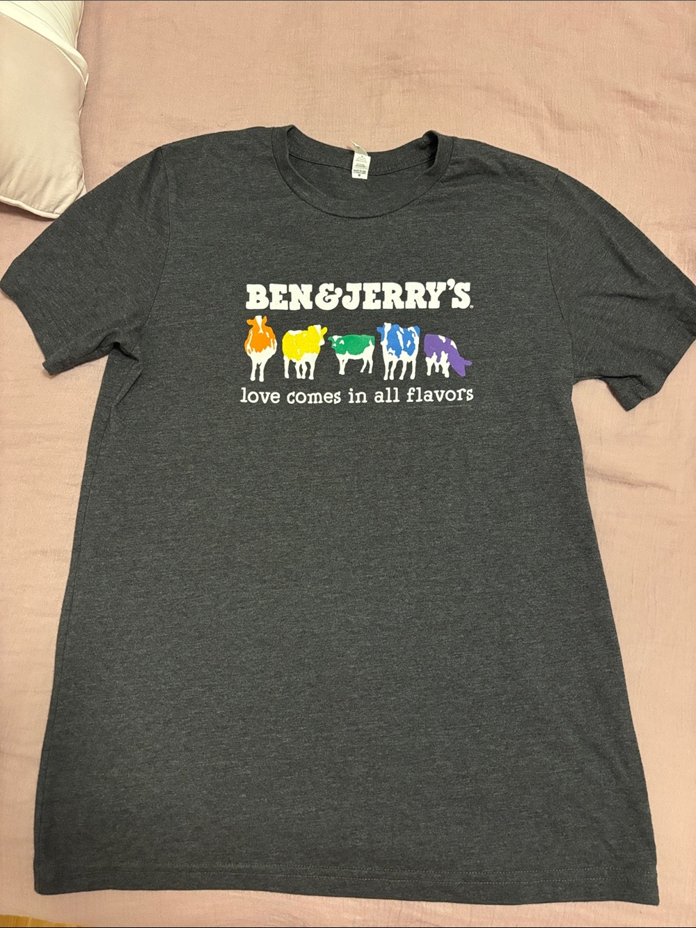 Ben & Jerry’s Dark Gray Tee with Rainbow Cows